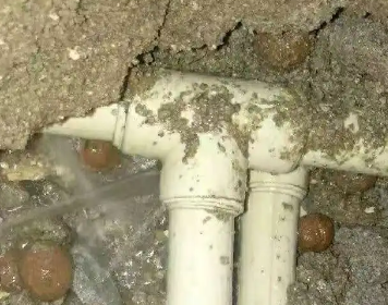 长垣测漏水多少钱