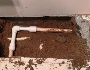 长垣测漏水哪家好