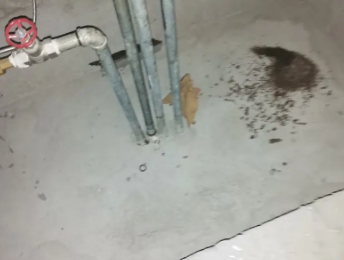 长垣卫生间测漏水价格明细