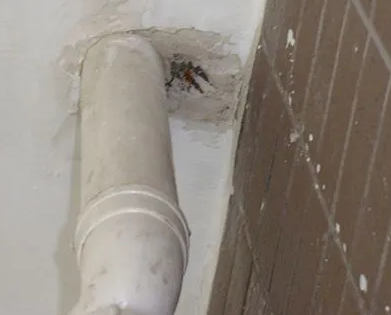 长垣漏水检测哪家好